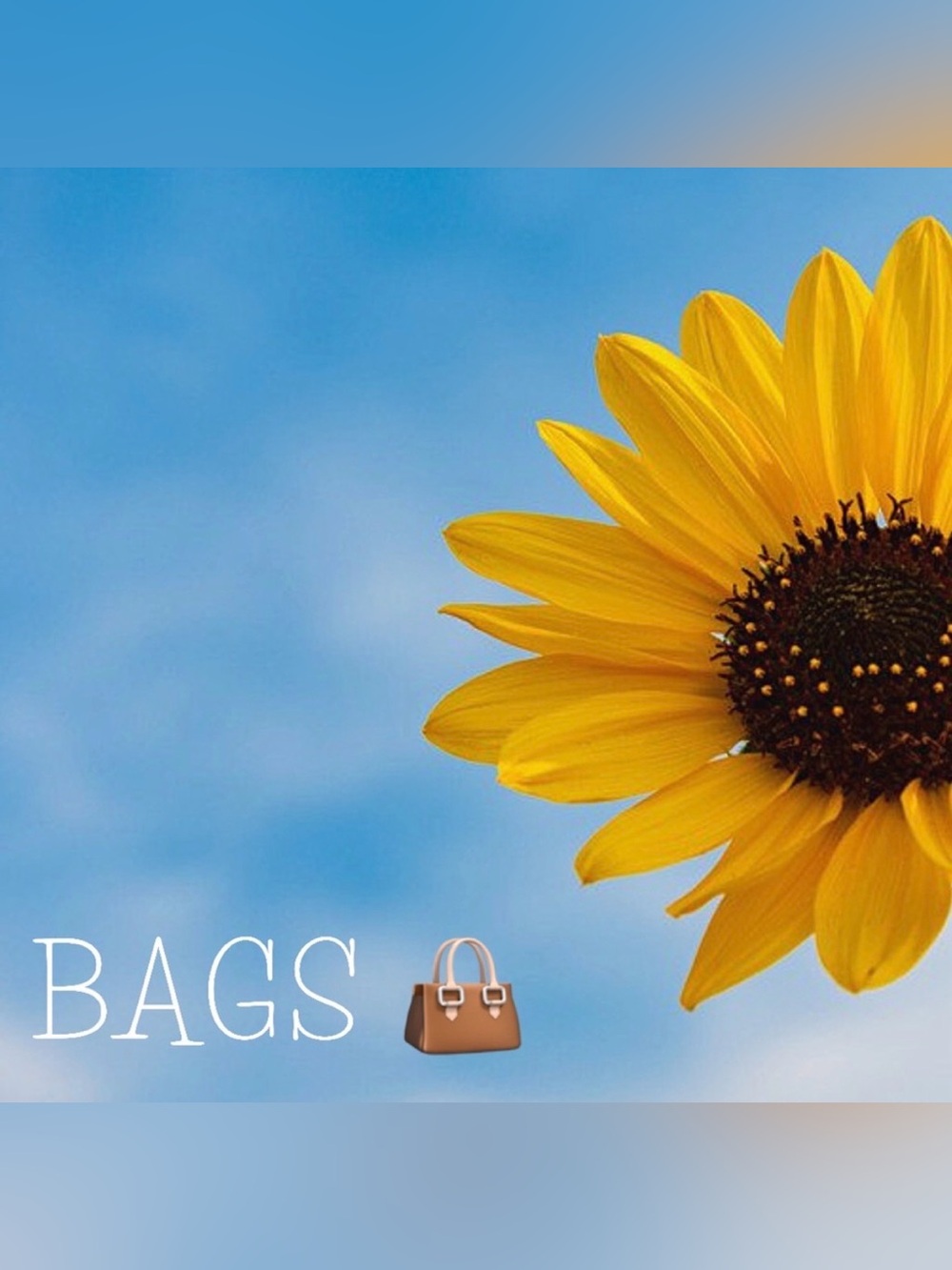 BAGS in Kimmee’s Closet